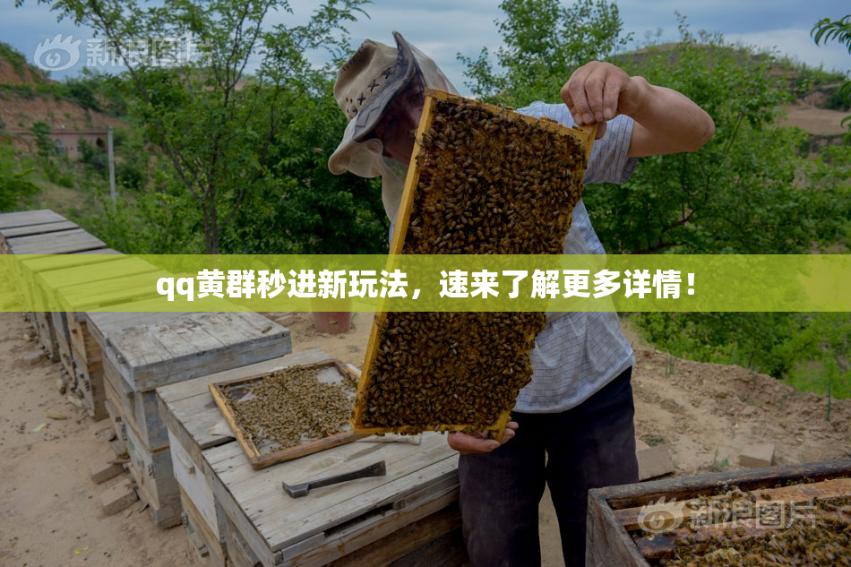 qq黄群秒进新玩法，速来了解更多详情！
