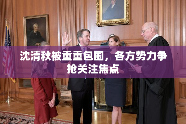 沈清秋被重重包围，各方势力争抢关注焦点