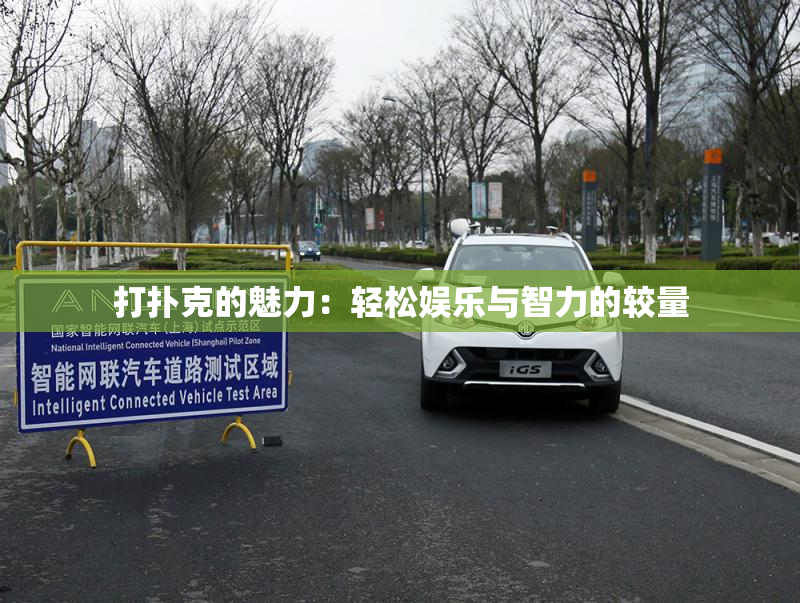 打扑克的魅力：轻松娱乐与智力的较量