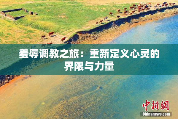 羞辱调教之旅：重新定义心灵的界限与力量