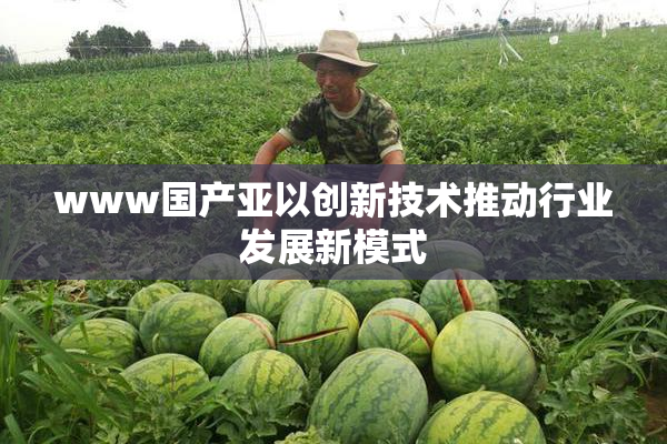 www国产亚以创新技术推动行业发展新模式