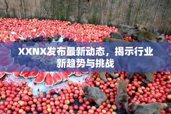 XXNX发布最新动态，揭示行业新趋势与挑战