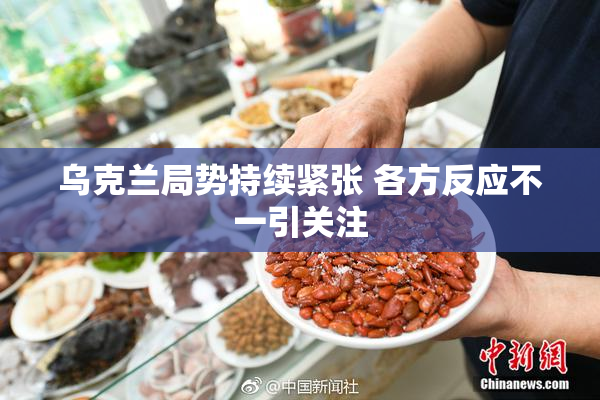 乌克兰局势持续紧张 各方反应不一引关注