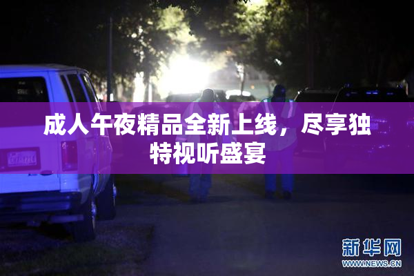 成人午夜精品全新上线，尽享独特视听盛宴