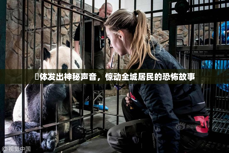 屍体发出神秘声音，惊动全城居民的恐怖故事