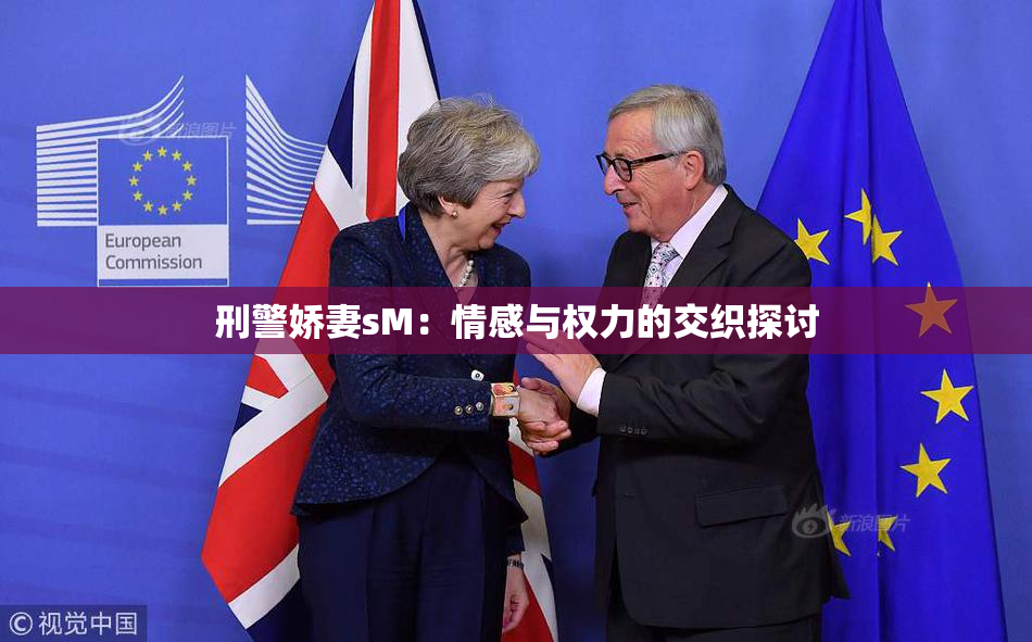 刑警娇妻sM：情感与权力的交织探讨