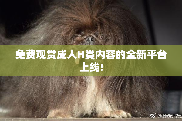 免费观赏成人H类内容的全新平台上线!