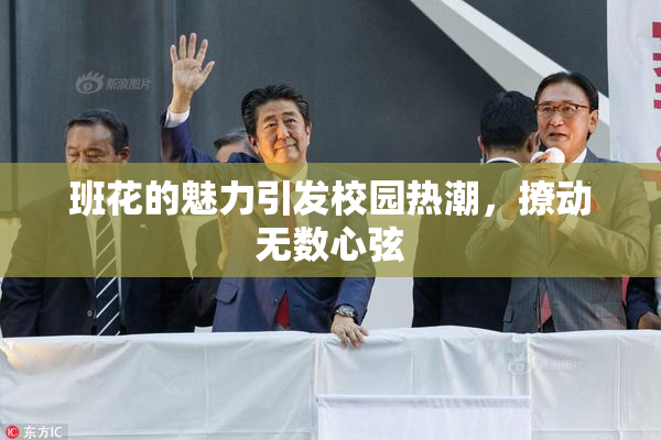班花的魅力引发校园热潮，撩动无数心弦