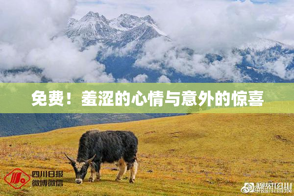 免费！羞涩的心情与意外的惊喜