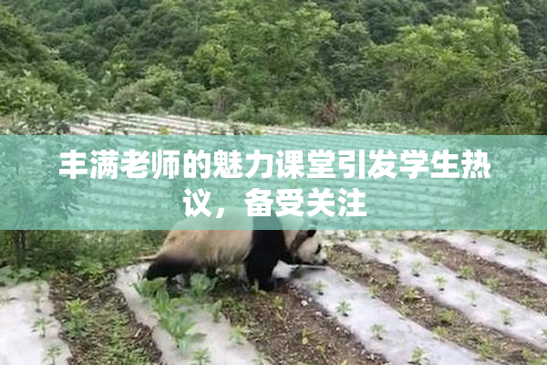 丰满老师的魅力课堂引发学生热议，备受关注