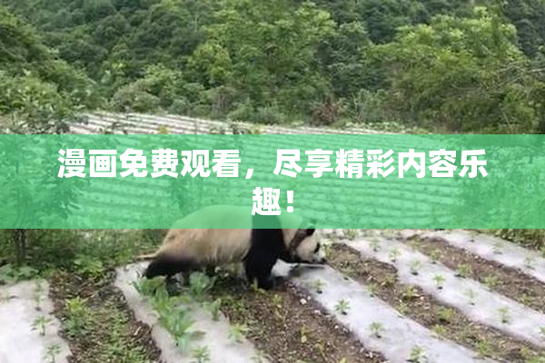漫画免费观看，尽享精彩内容乐趣！