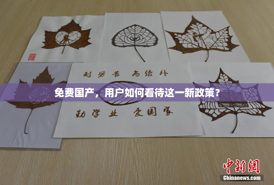 免费国产，用户如何看待这一新政策？