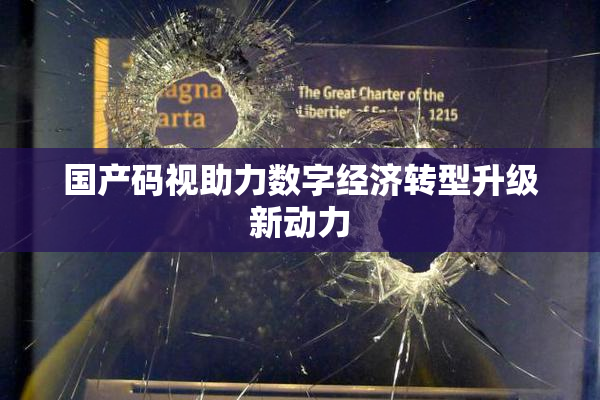 国产码视助力数字经济转型升级新动力