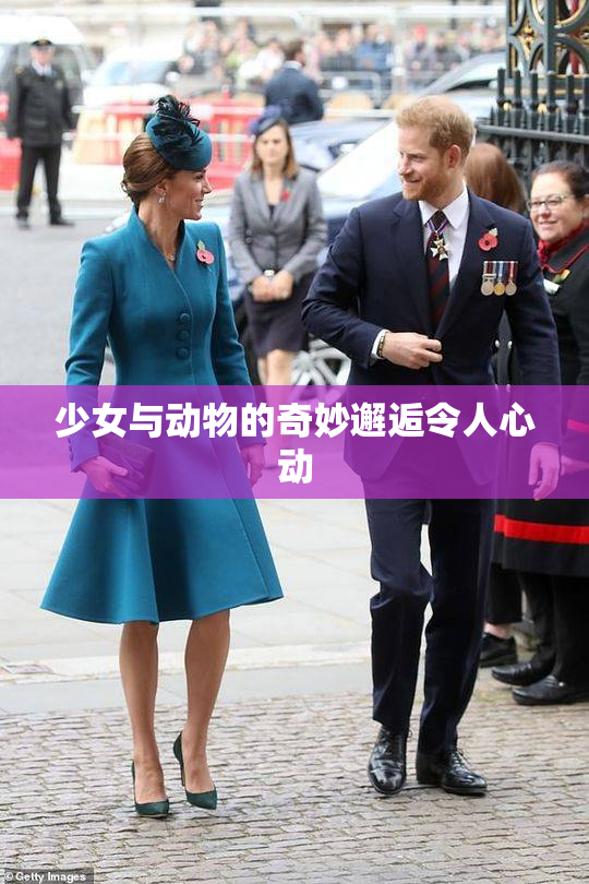 少女与动物的奇妙邂逅令人心动