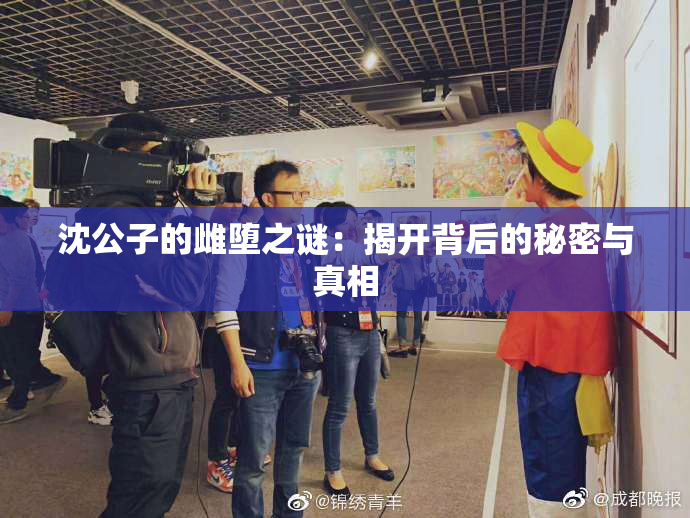 沈公子的雌堕之谜：揭开背后的秘密与真相