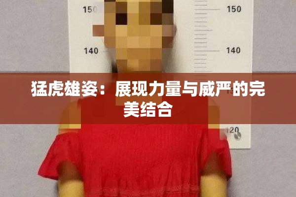 猛虎雄姿：展现力量与威严的完美结合