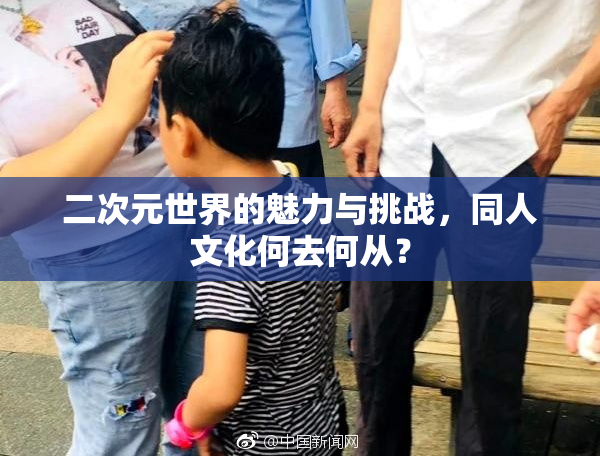 二次元世界的魅力与挑战，同人文化何去何从？