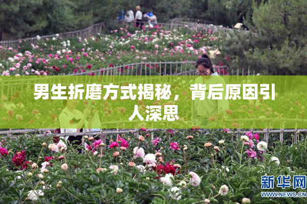 男生折磨方式揭秘，背后原因引人深思
