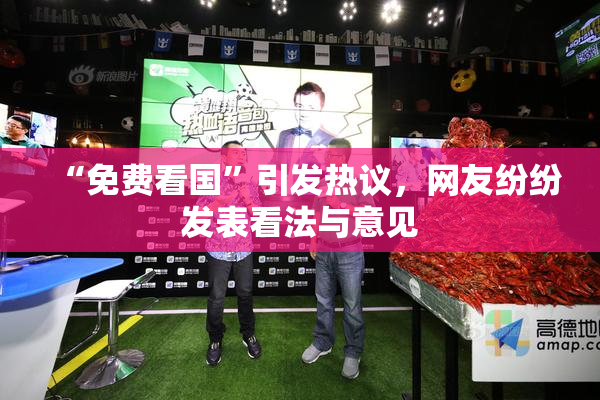 “免费看国”引发热议，网友纷纷发表看法与意见