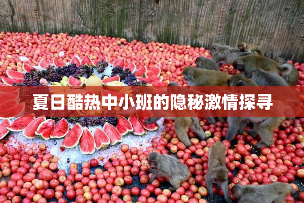 夏日酷热中小班的隐秘激情探寻