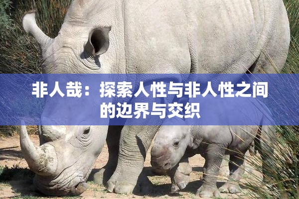 非人哉：探索人性与非人性之间的边界与交织