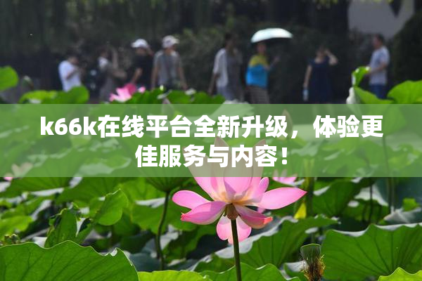 k66k在线平台全新升级，体验更佳服务与内容！