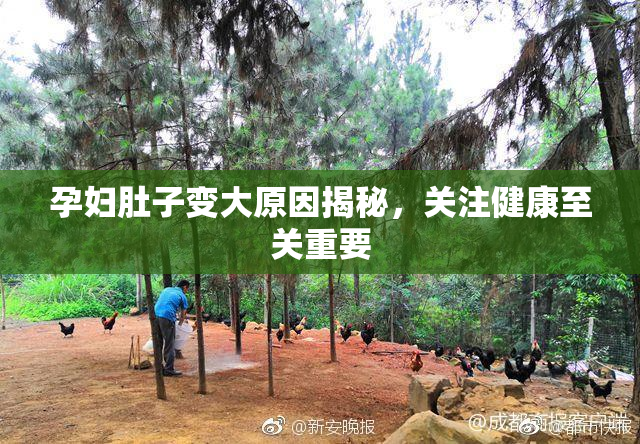 孕妇肚子变大原因揭秘，关注健康至关重要