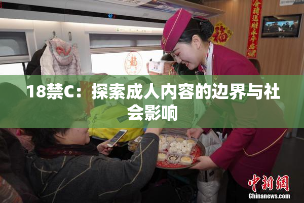 18禁C：探索成人内容的边界与社会影响