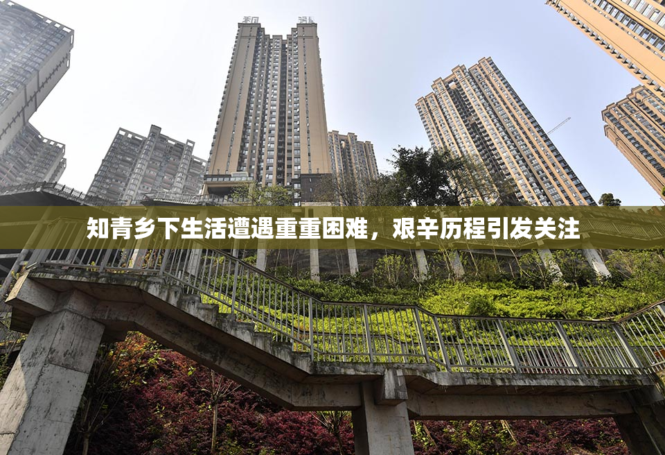 知青乡下生活遭遇重重困难，艰辛历程引发关注