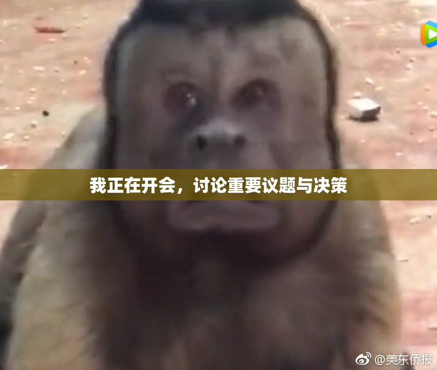 我正在开会，讨论重要议题与决策