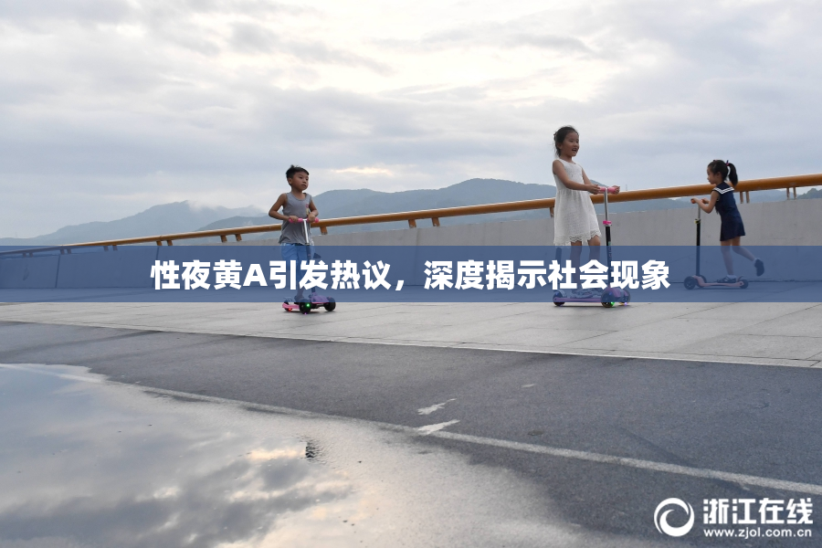 性夜黄A引发热议，深度揭示社会现象