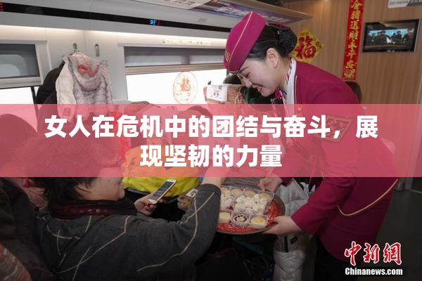 女人在危机中的团结与奋斗，展现坚韧的力量