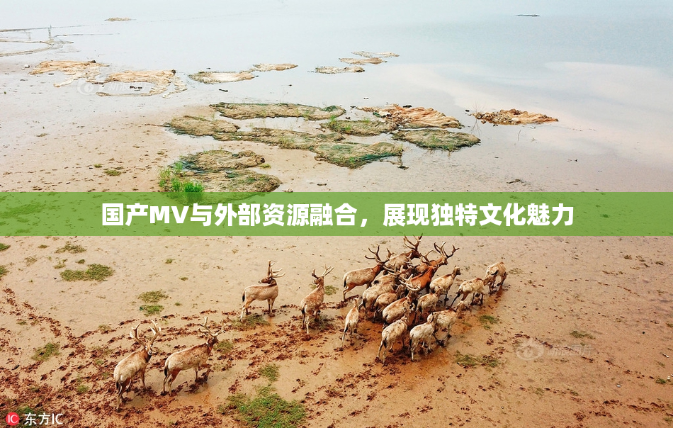 国产MV与外部资源融合，展现独特文化魅力