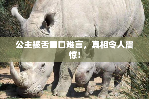 公主被舌重口难言，真相令人震惊！