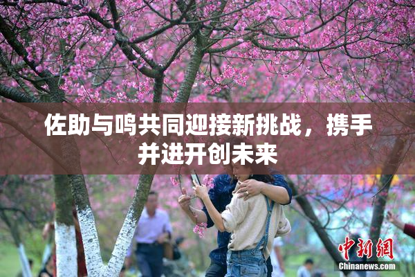 佐助与鸣共同迎接新挑战，携手并进开创未来