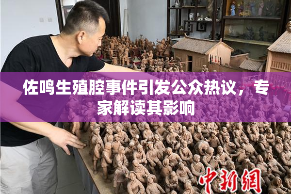 佐鸣生殖腔事件引发公众热议，专家解读其影响