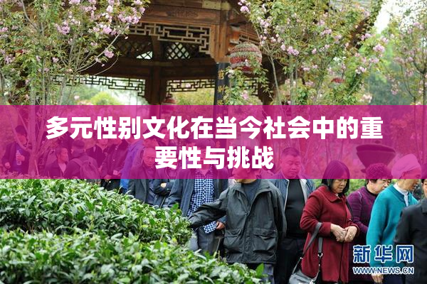 多元性别文化在当今社会中的重要性与挑战