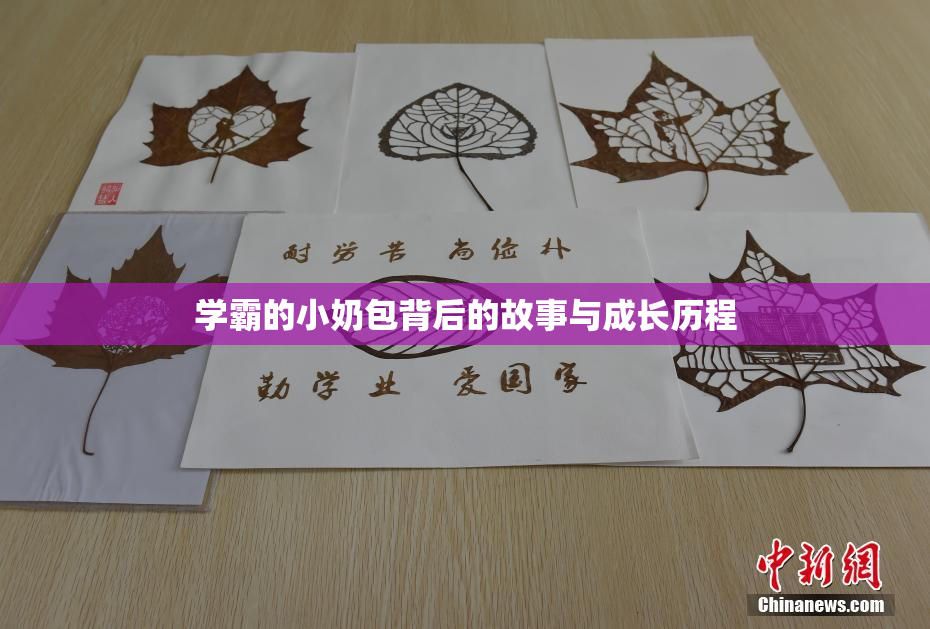 学霸的小奶包背后的故事与成长历程