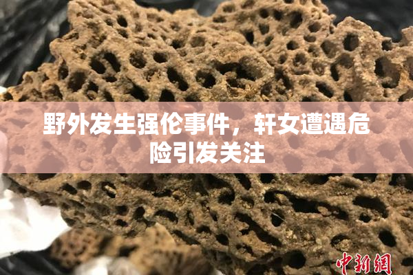 野外发生强伦事件，轩女遭遇危险引发关注