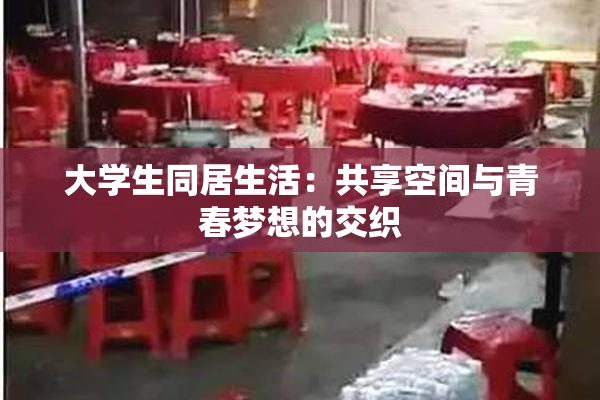 大学生同居生活：共享空间与青春梦想的交织