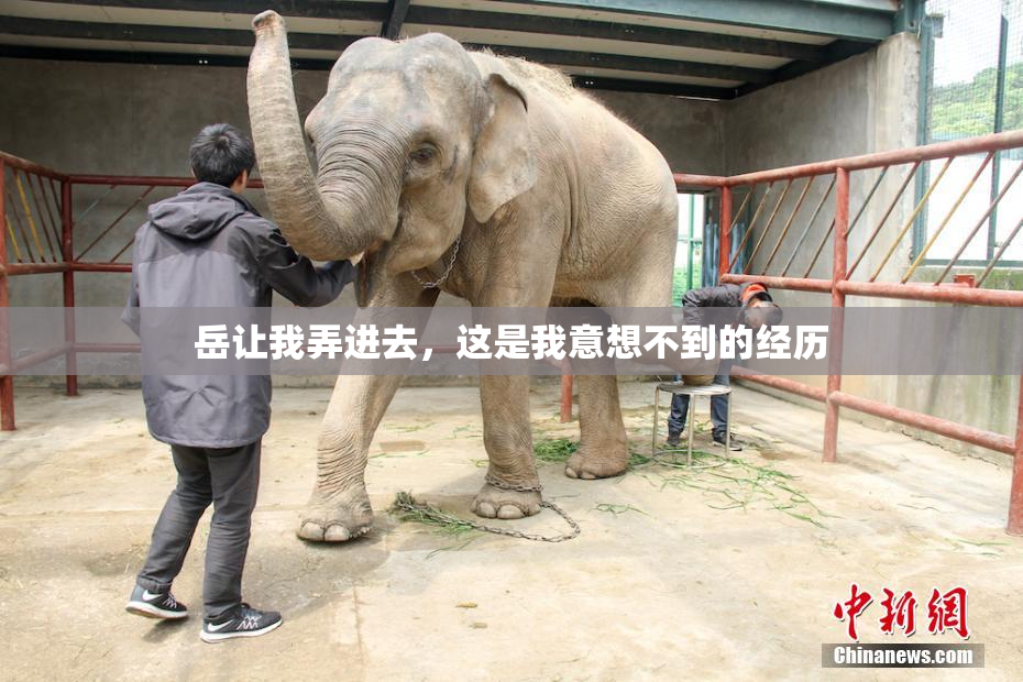 岳让我弄进去，这是我意想不到的经历