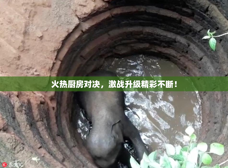 火热厨房对决，激战升级精彩不断！
