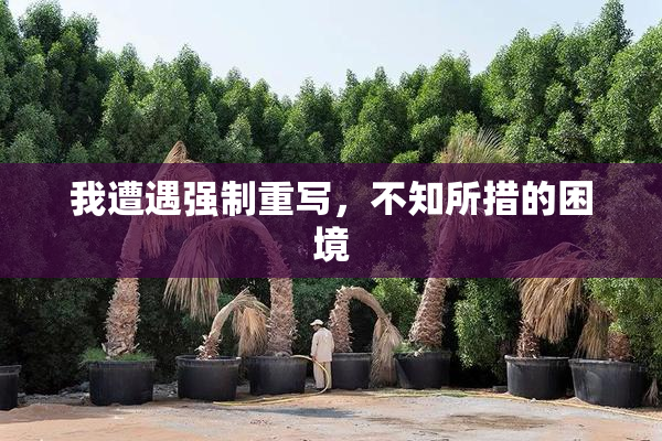 我遭遇强制重写，不知所措的困境