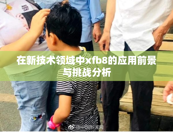 在新技术领域中xfb8的应用前景与挑战分析