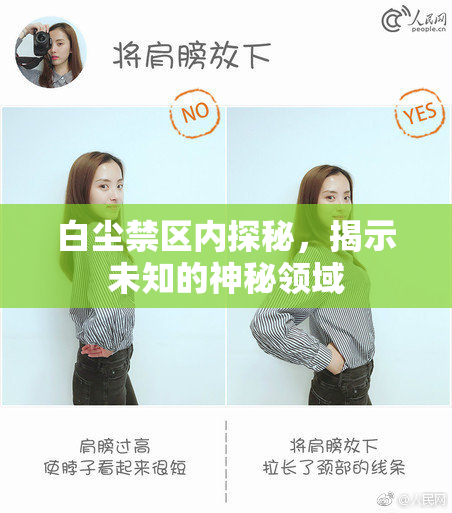 白尘禁区内探秘，揭示未知的神秘领域