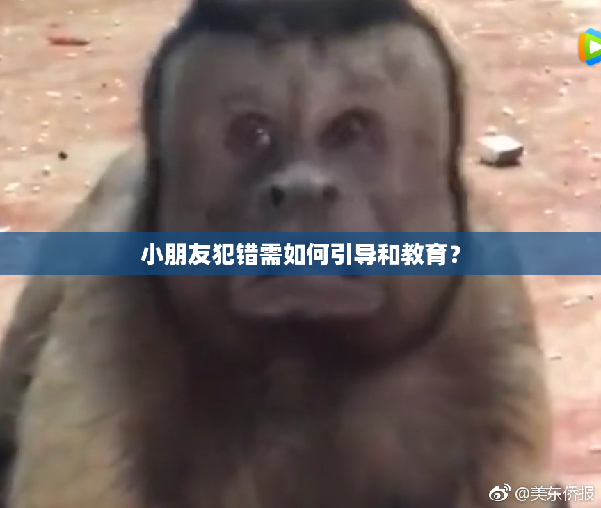 小朋友犯错需如何引导和教育？