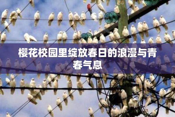 樱花校园里绽放春日的浪漫与青春气息