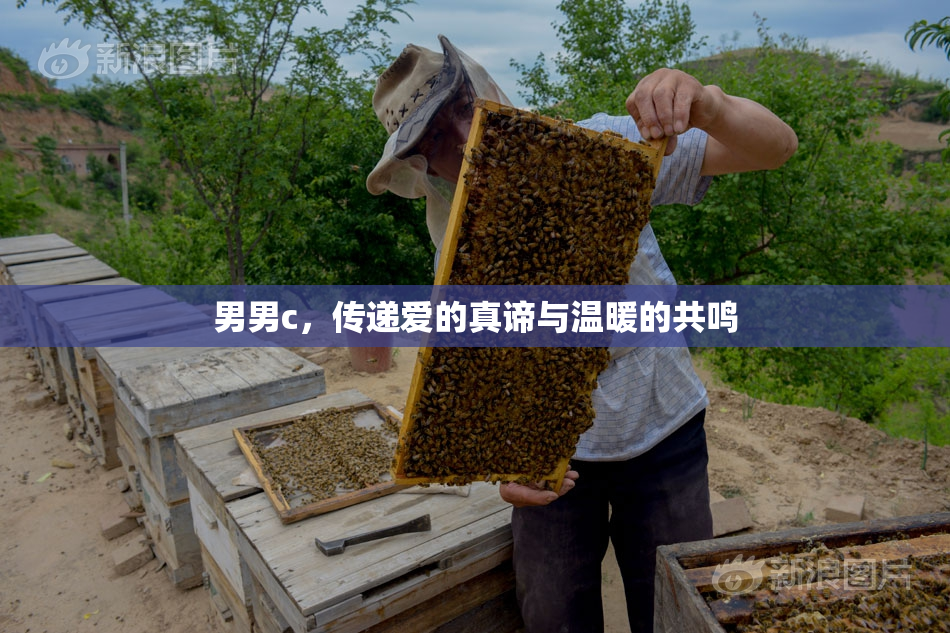 男男c，传递爱的真谛与温暖的共鸣