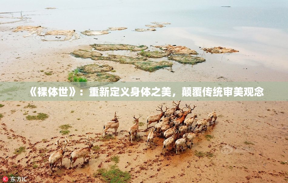 《裸体世》：重新定义身体之美，颠覆传统审美观念