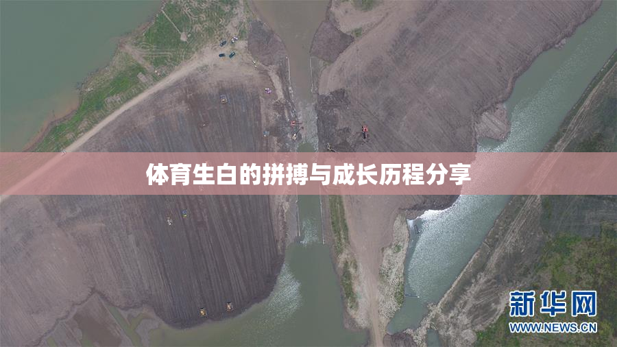 体育生白的拼搏与成长历程分享